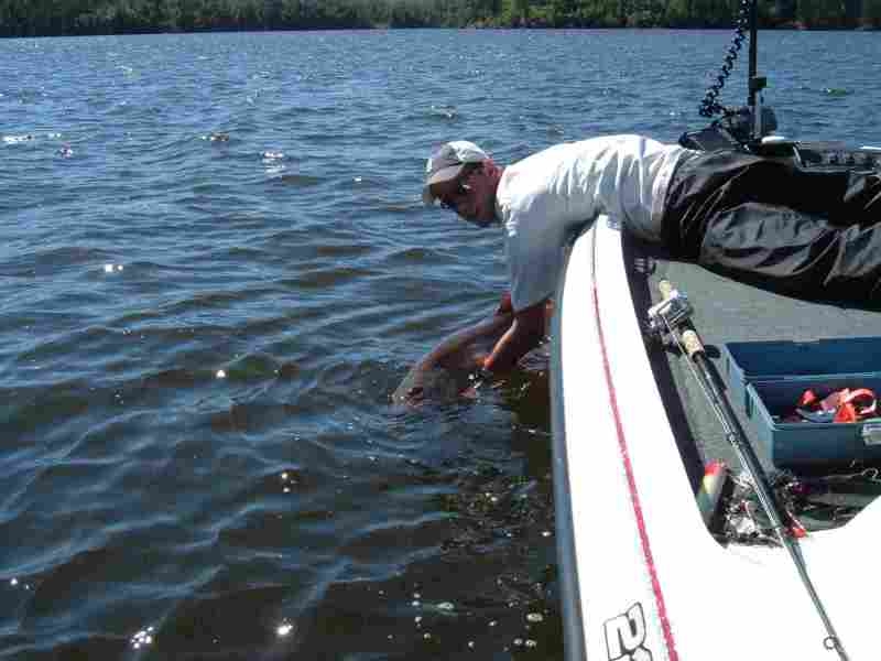 brock-release-shot-lotw-2005
