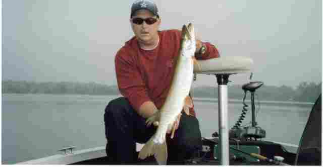 cdan-fish-1