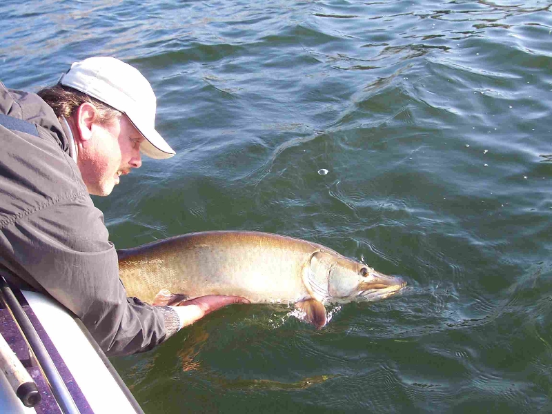 deer-lk-10-27-06-004