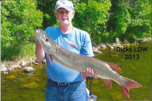 dick-low-2013-1