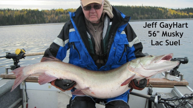 ls-jeff-56m-5-1