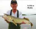 dick-low-small-musky-2013-1