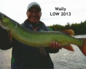 wally-low-2013-1