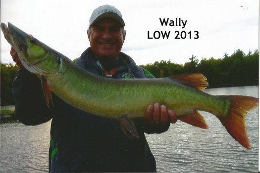 wally-low-2013-1_0