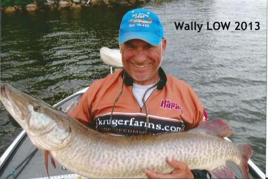 wally-orange-1
