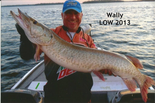 wally-orange-bf-1