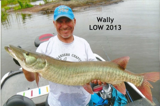 wally-white-1